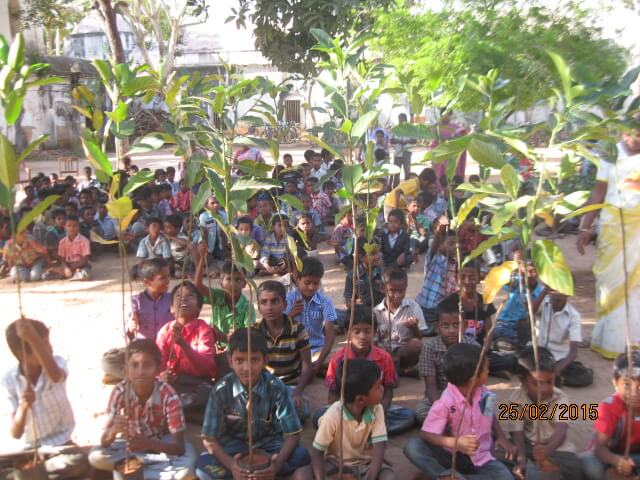 Education Program